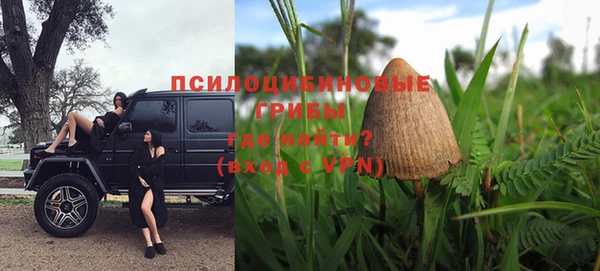 mdpv Горно-Алтайск