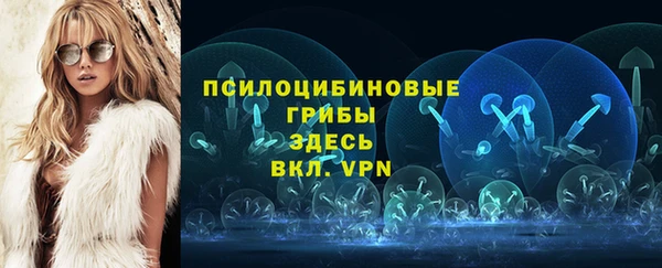 mdpv Горно-Алтайск
