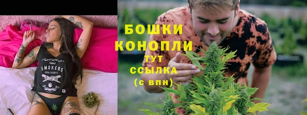 mdpv Горно-Алтайск