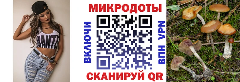 мега вход  Калининград  Псилоцибиновые грибы Psilocybine cubensis  где можно купить наркотик 